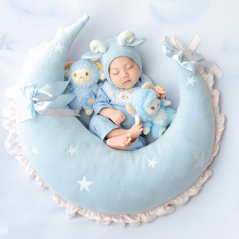 Cute Sheep Newborn Photography - Infant Photography Props Outfit ulasan dan harga